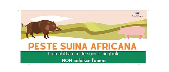 Peste suina africana - Importanti indicazioni per i cittadini