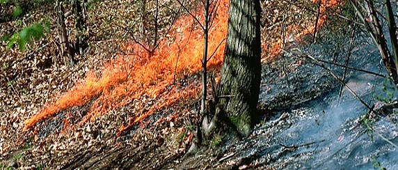 STATO DI ALTO RISCHIO INCENDI BOSCHIVI