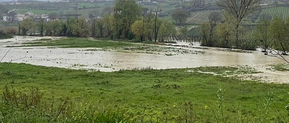 AVVISO URGENTE PER GLI AGRICOLTORI ABRUZZESI - Indicazioni operative per la segnalazione dei danni subiti dalle imprese agricole
