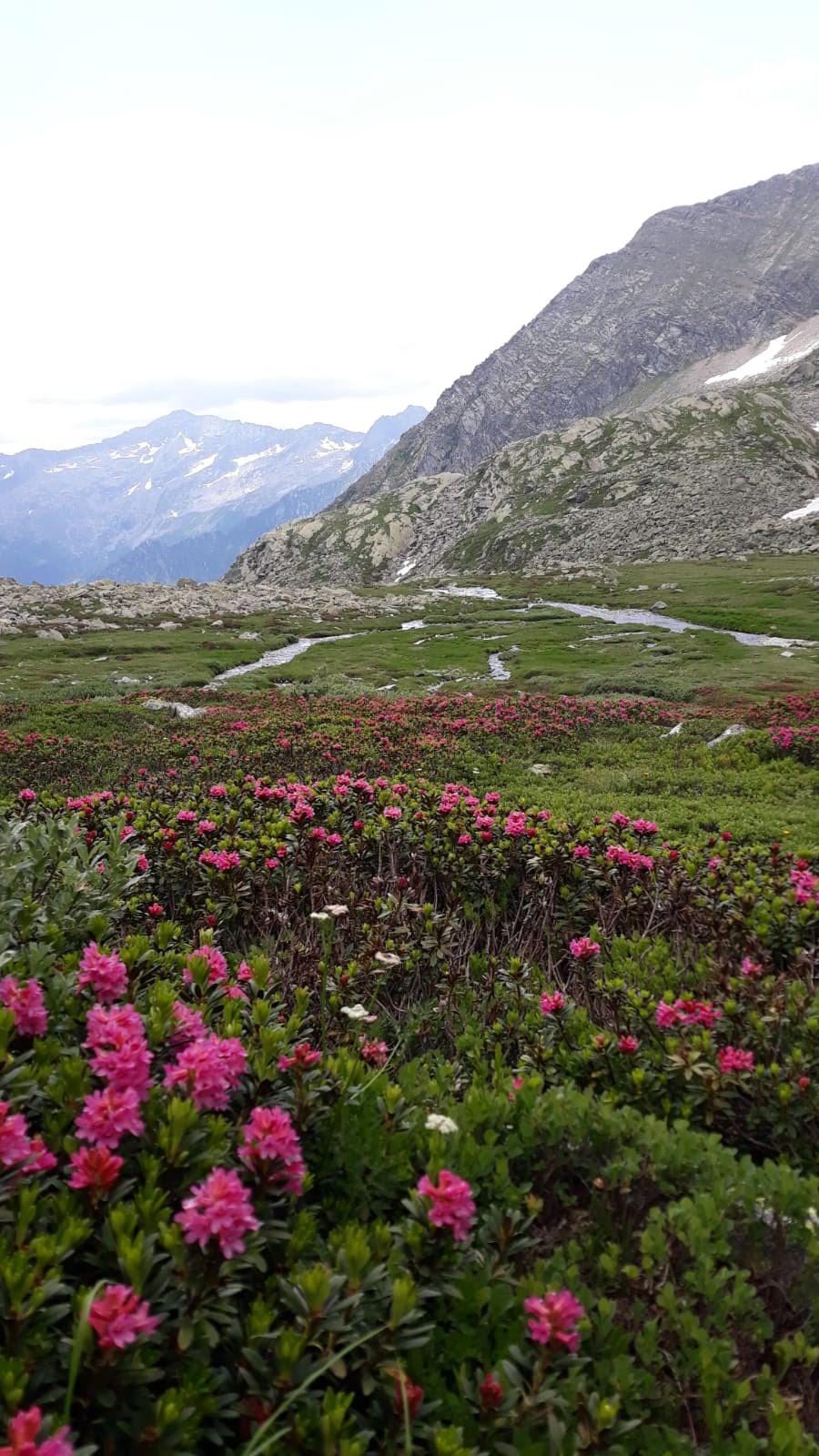 Foto - Valle Mondelli