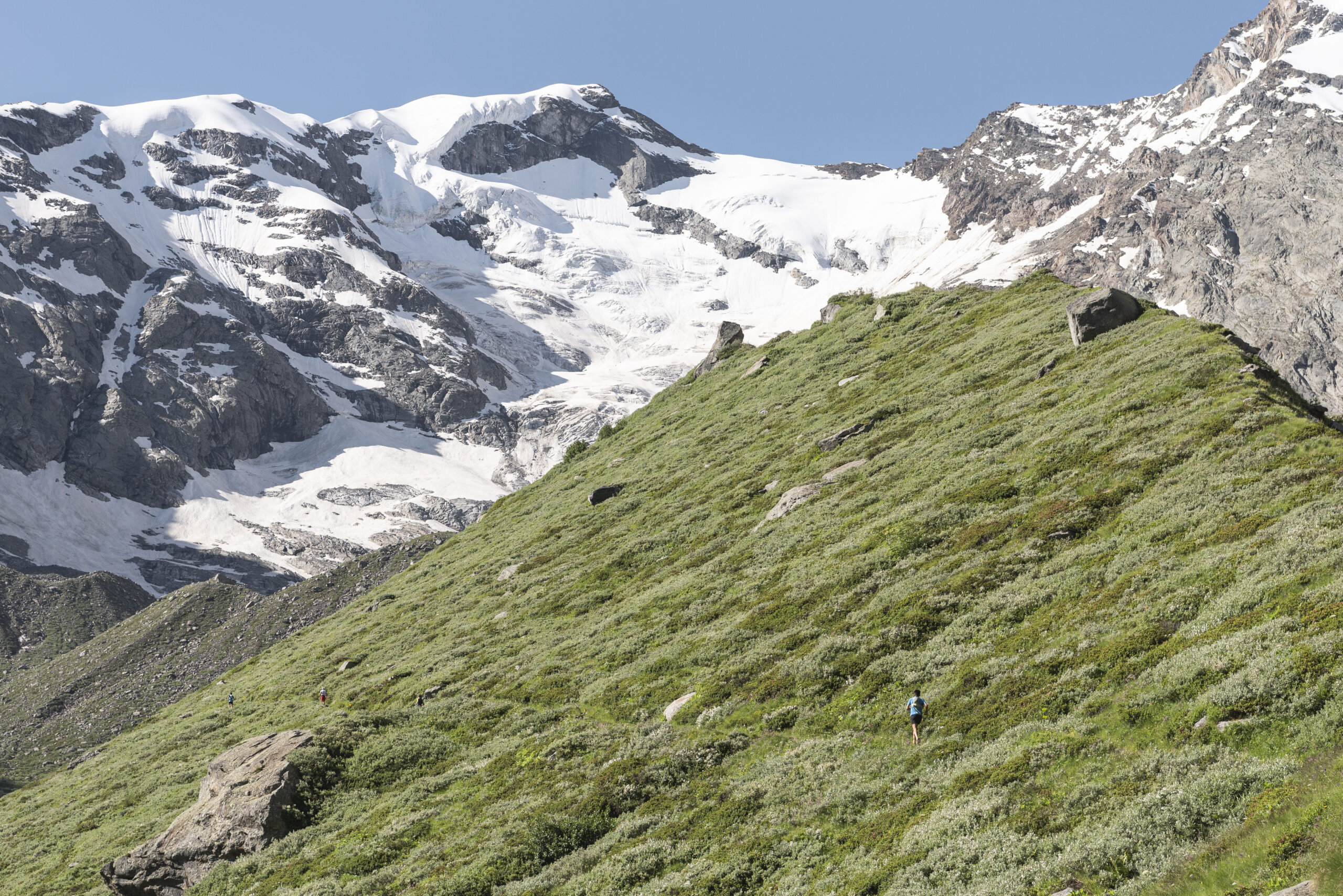 Foto - Rifugio Zamboni