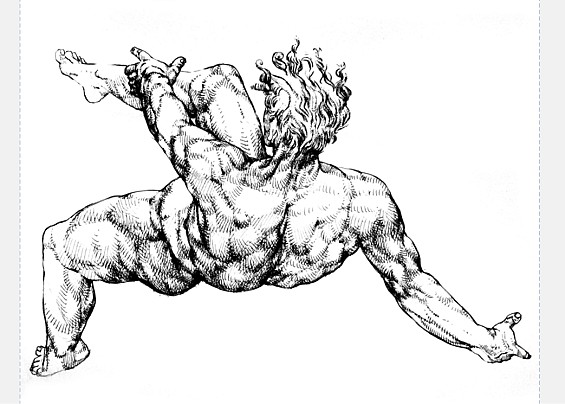 Immagine non trovata