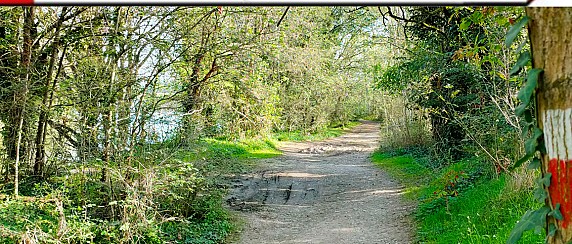 Evento Proloco di Crema e Parco Regionale del Serio - Sentieri da scoprire: sentiero CAI 300