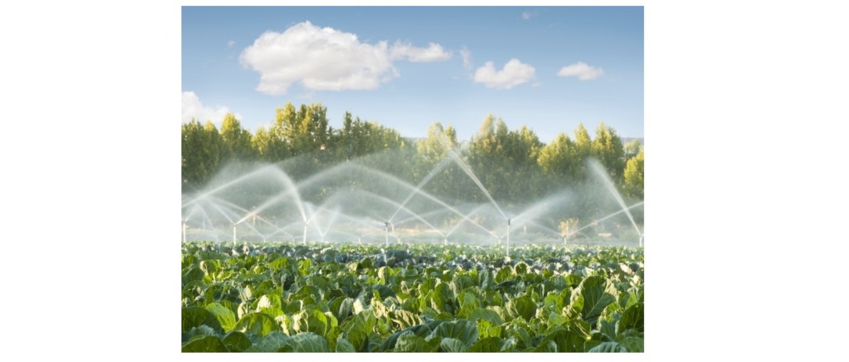 ACQUEDOTTI RURALI - AVVISO AGGIORNAMENTO TARIFFE ANNO 2026