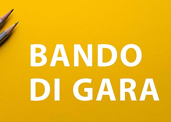 Avviso pubblico per la presentazione di manifestazione di interesse a essere invitati  alla procedura per l'affidamento del servizio di gestione del  sistema informatico- scadenza ore 13.00 del 28/04/2026