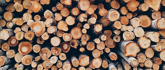 Concessione legna da ardere - Anno 2026