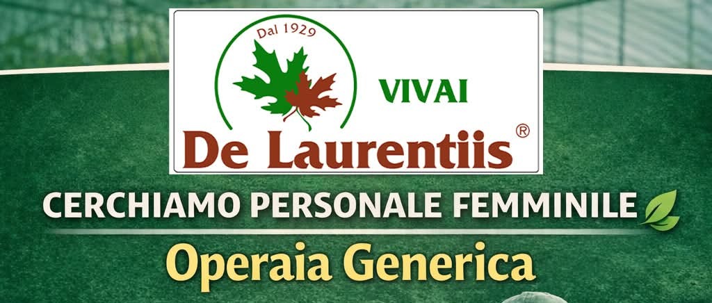Immagine principale