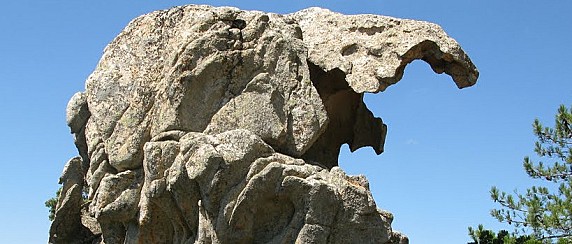 Alla scoperta di Monte Pino