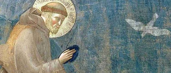 Immagine non trovata