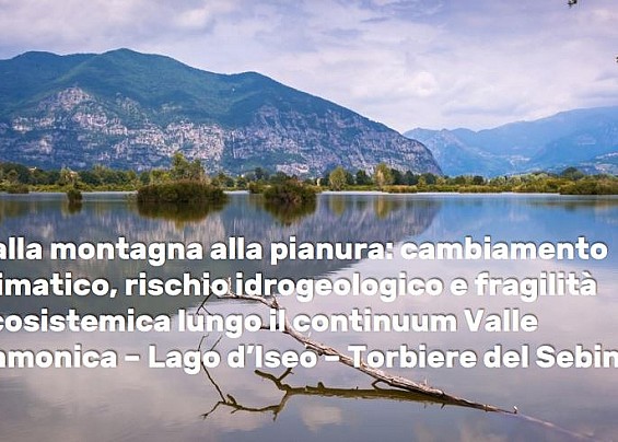 Immagine non trovata