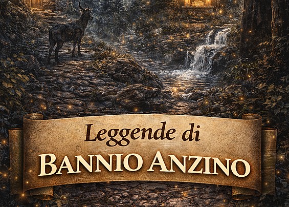 Immagine non trovata