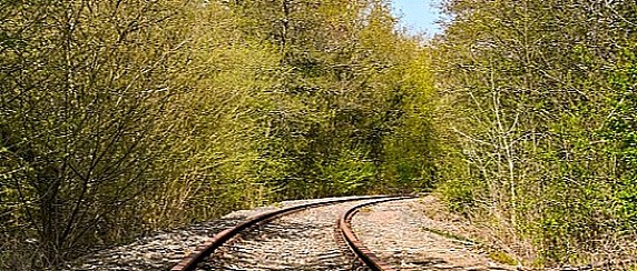 Ordinanza sindacale per pulizia e taglio rami ed alberi delle aree di proprietà privata interferenti con la sede della Rete Ferroviaria Italiana - anno 2026