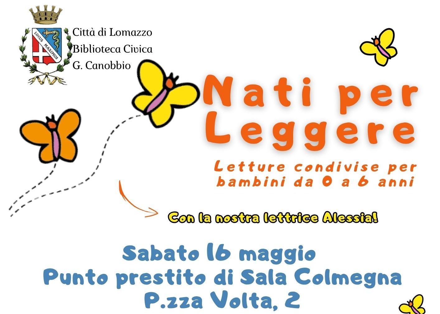 Immagine non trovata