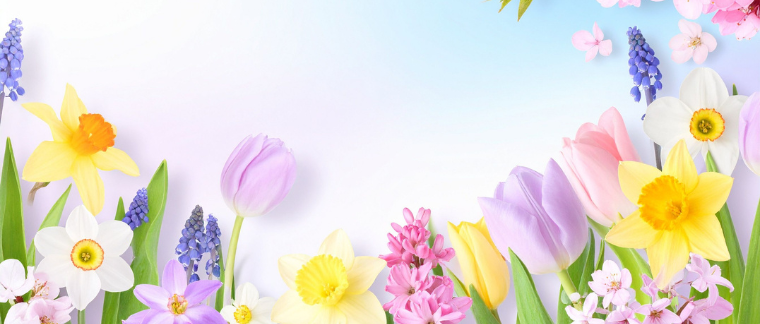 Festa di Primavera -Colori e Sapori-