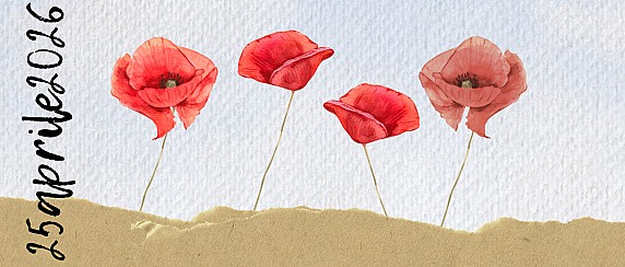 Celebrazione dell'ottantunesimo anniversario di Liberazione