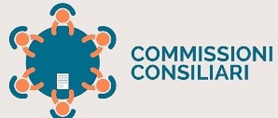 Commissione 5 "Sostenibilità"