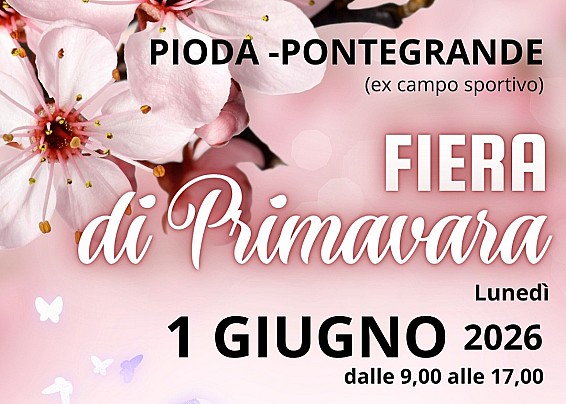Immagine non trovata