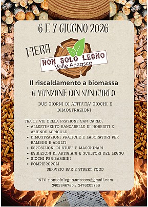 Locandina Fiera Non Solo Legno