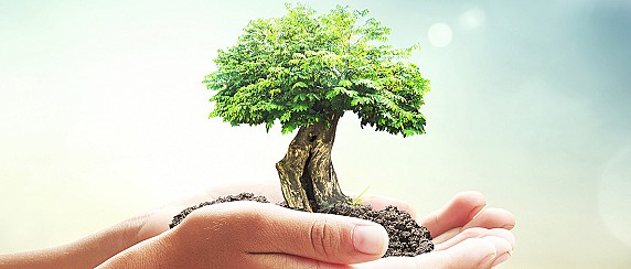 Regolamento Comunale per la tutela del Verde