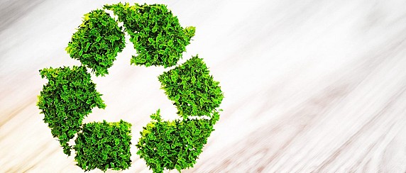 Regolamento Comunale per il Servizio di Igiene Urbana