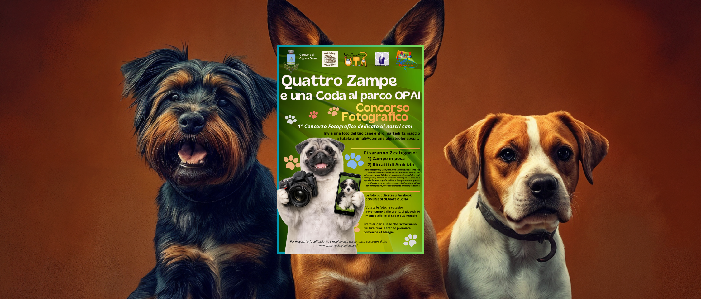 Concorso Fotografico "Quattro Zampe e una Coda al Parco OPAI"