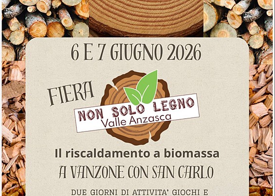 Immagine non trovata