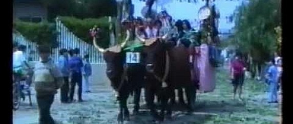 Festeggiamenti in onore di Sant'Isidoro anno 2026. Domande di iscrizione alla processione con traccas, cavalli e calessi.