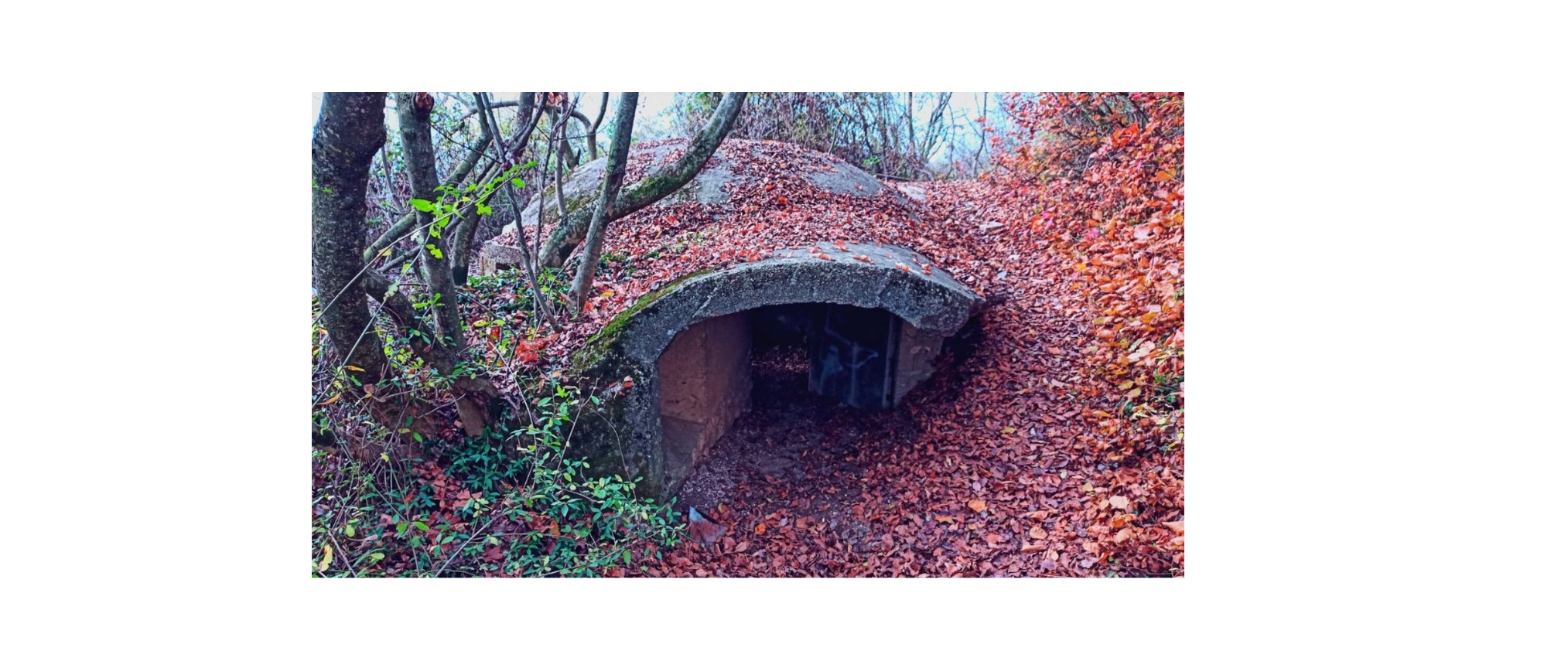 Festa della Montagna