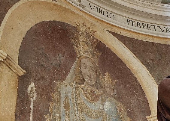 Immagine non trovata