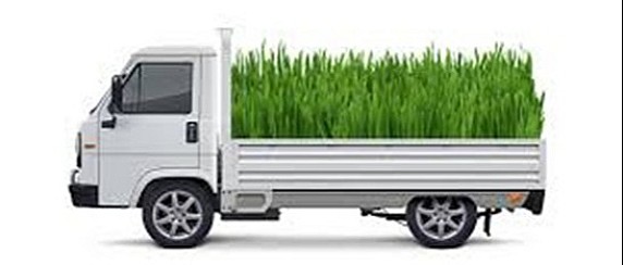 Raccolta rifiuti solidi urbani e speciali