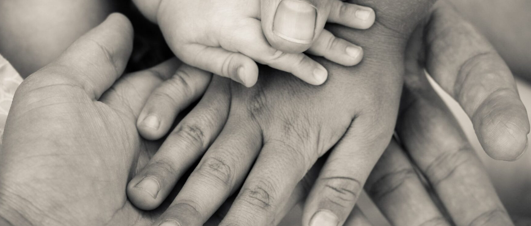 Immagine principale