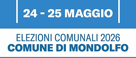 Elezione del Sindaco e del Consiglio comunale 🗳️