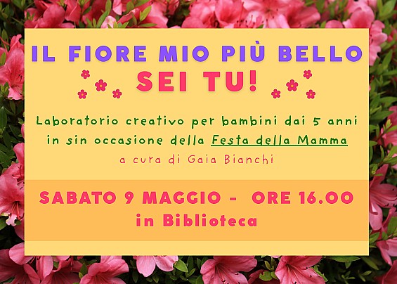 Immagine non trovata