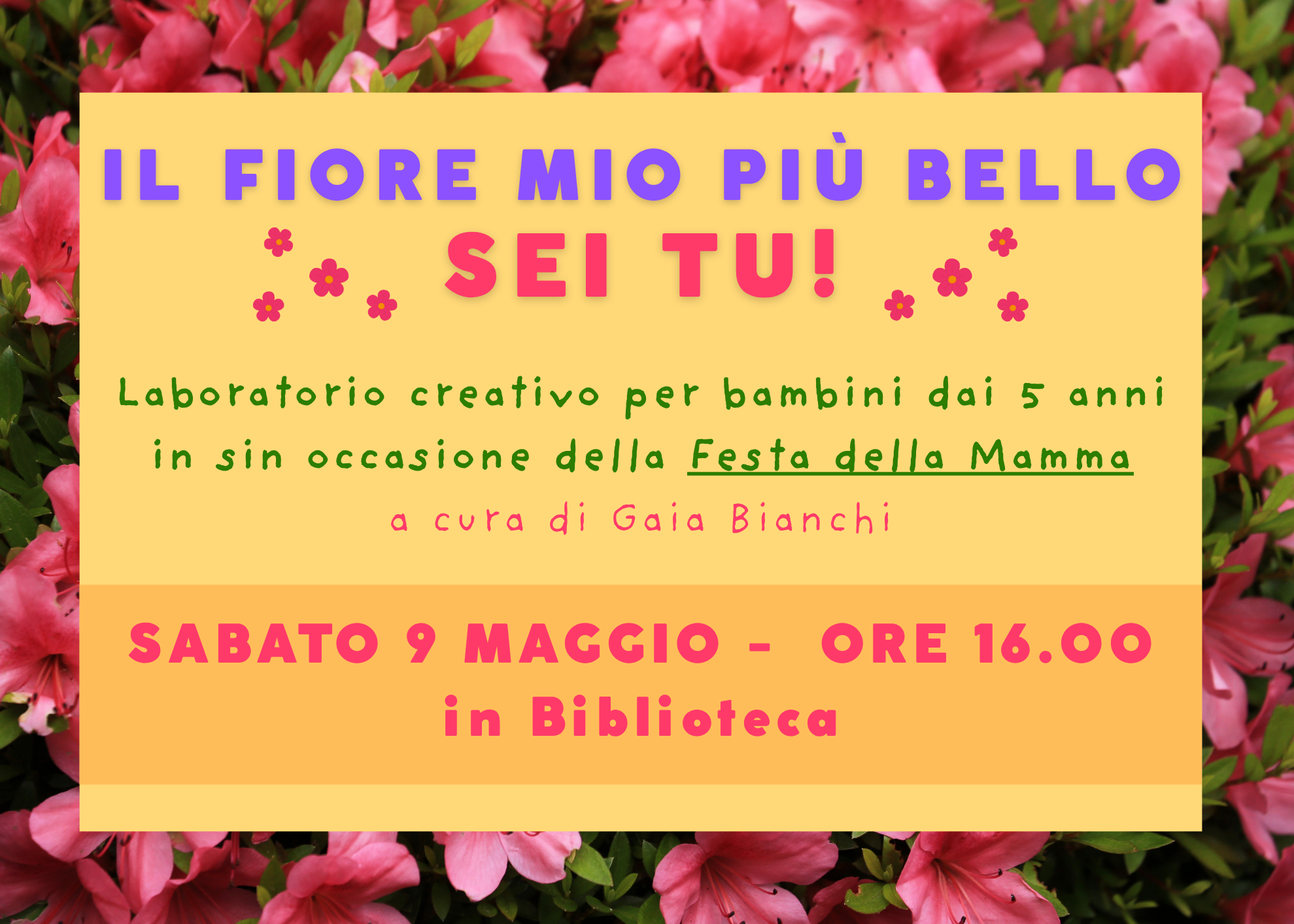 Immagine non trovata