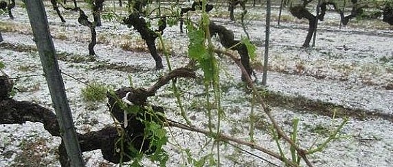 Stato di calamità naturale per gli eventi metereologici del 29.04.2026.