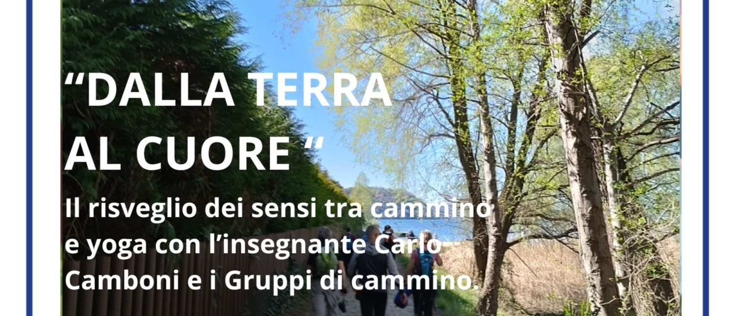 Immagine principale