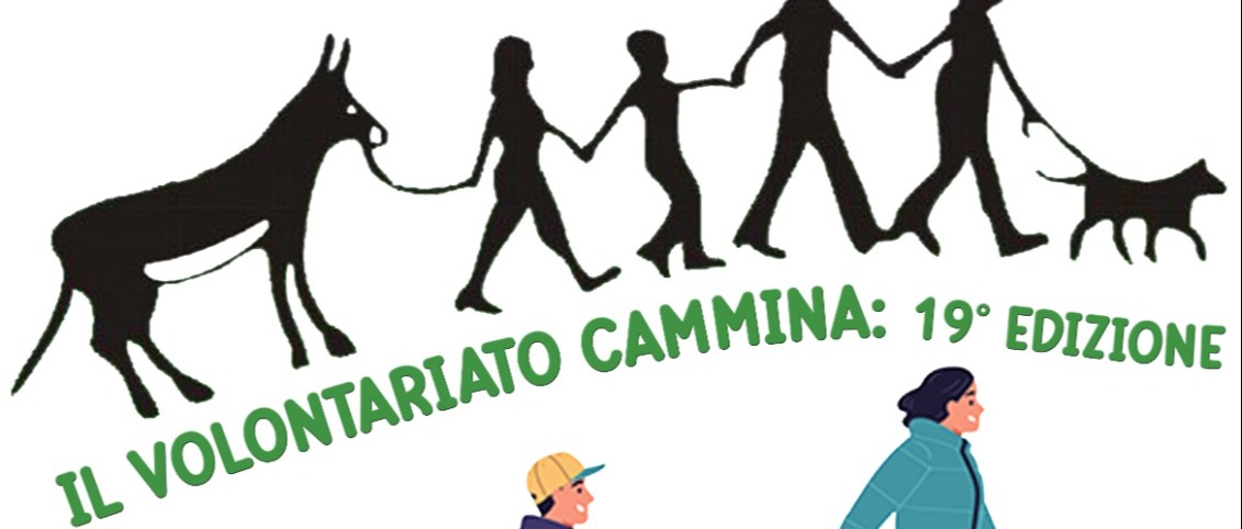 Immagine principale