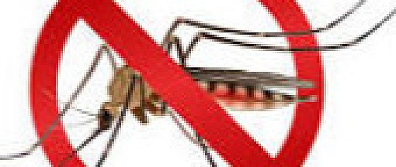 INTERVENTI DI DISINFESTAZIONE ANTILARVALE
