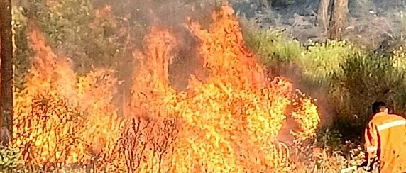 Prescrizioni antincendio 2026
