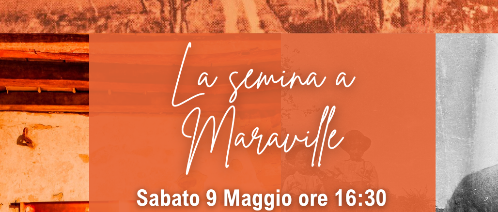 La semina a Maraville