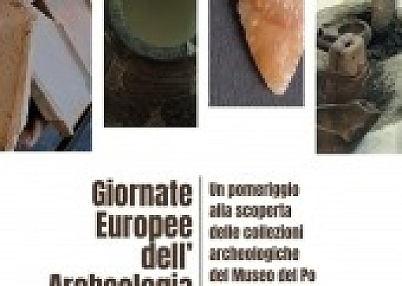 Immagine non trovata