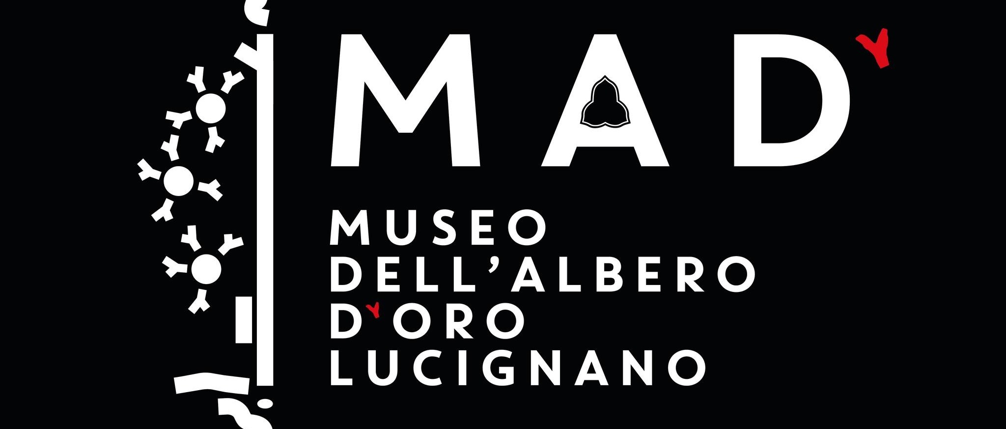 Immagine principale
