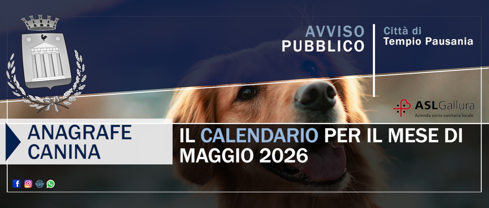 Immagine principale