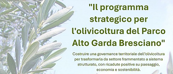 Il programma strategico per l'olivicoltura del Parco Alto Garda Bresciano