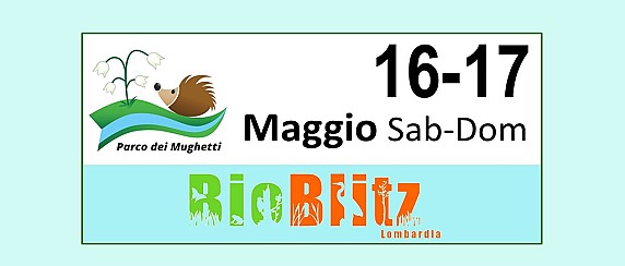 torna "Bioblitz Lombardia" al Parco dei Mughetti