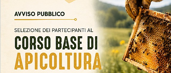 Avviso pubblico di selezione dei partecipanti al corso base di apicoltura