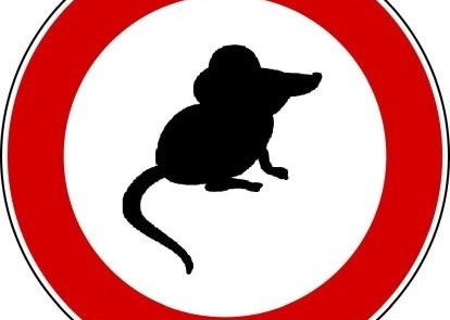 Campagna Derattizzazione 2026 a Rovellasca