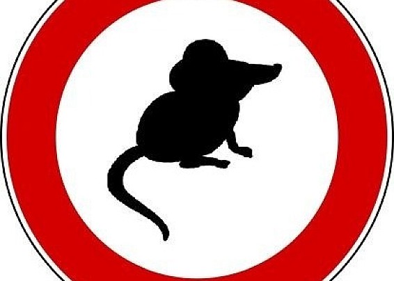 Campagna Derattizzazione 2026 a Rovellasca