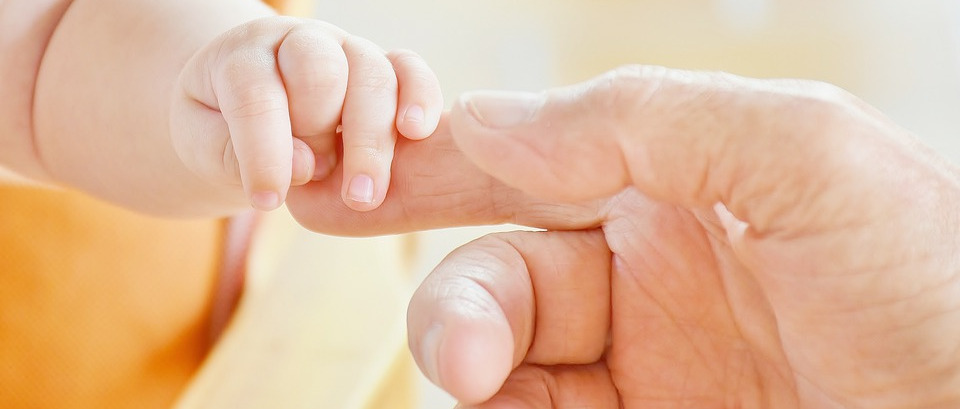 Immagine principale
