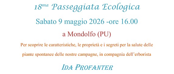 Immagine non trovata